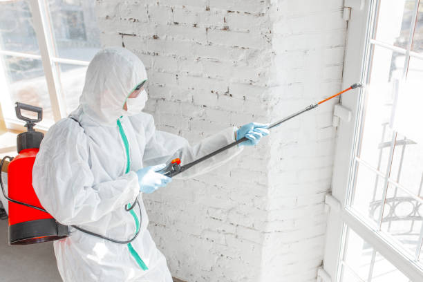 Why You Should Choose Our Mold Remediation Services in Roslyn Estates, NY